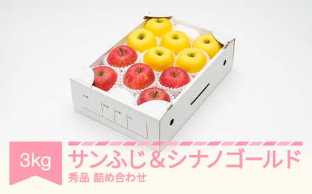 サンふじ ＆ シナノゴールド3kg 令和7年産 2025年産  りんご 山形県産 果物 ns-rifgx3