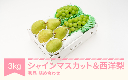 【先行予約】シャインマスカット 秀品 & 西洋梨 詰め合わせ 3kg 令和8年産 2026年産 果物 フルーツ ぶどう ブドウ 梨 洋梨 ns-fssyx3