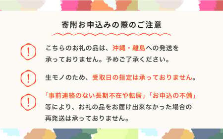 【先行予約】シャインマスカット 秀品 & 西洋梨 詰め合わせ 3kg 令和8年産 2026年産 果物 フルーツ ぶどう ブドウ 梨 洋梨 ns-fssyx3