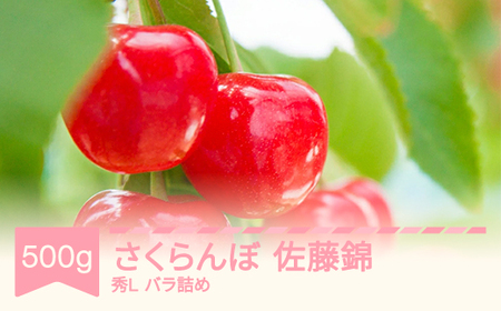 先行予約 さくらんぼ 佐藤錦 令和8年産 ns-snslb500