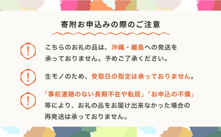 【先行予約】すいか 金色羅皇（5~6kg) 秀品  1玉 令和8年産 2026年産 スイカ  果物  no-sukrx5 ※沖縄・離島への配送不可