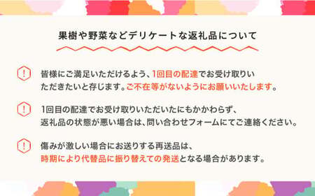 【先行予約】すいか ゴールデンジャック 1玉5kg~6kg 2026年産 令和8年産 no-sugjx1 ※沖縄・離島への配送不可