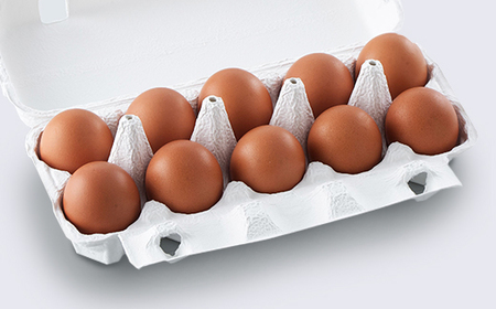 自然平飼 紅輝卵  (10個入りパック×2)  ※破損補償2個を含む 卵 たまご 半澤鶏卵 hk-egkkx20 送料無料 ※沖縄・離島への配送不可