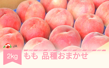 先行予約 もも 桃 品種おまかせ 約2kg 令和8年産 2026年産 山形産 果物 ※沖縄・離島への配送不可  ja-moxxx2-b