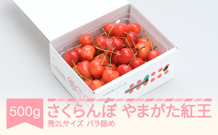 山形県産　やまがた紅王　バラ詰め500g 先行予約】 さくらんぼ やまがた紅王 500gバラP 秀2L 2026年産