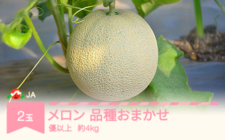 【先行予約 】温室メロン 品種おまかせ 令和8年産 2026年産 2玉 優 約4kg 果物 村山市産 ja-meoxx4 ※沖縄・離島への配送不可