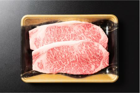特選山形牛 サーロイン ステーキ 200g×2 牛肉 黒毛和牛 ja-gnslx400