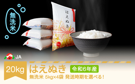 新米 米 はえぬき 20kg 2024年産 令和6年産 無洗米 ※沖縄・離島への配送不可 ja-hamxb20