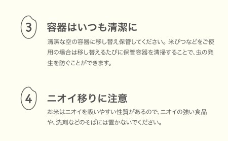 新米 米 はえぬき 20kg 2024年産 令和6年産 無洗米 ※沖縄・離島への配送不可 ja-hamxb20