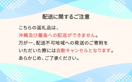 新米 米 つや姫 20kg 2024年産 令和6年産 精米 ※沖縄・離島への配送不可 ja-tsxxb20