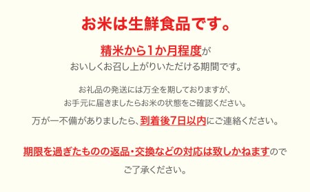 新米 米 雪若丸 10kg 2024年産 令和6年産 精米 ※沖縄・離島への配送不可 ja-ywxxb10