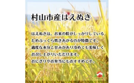 米 はえぬき 15kg 2021年産 令和3年産 精米 ja-haxxa15