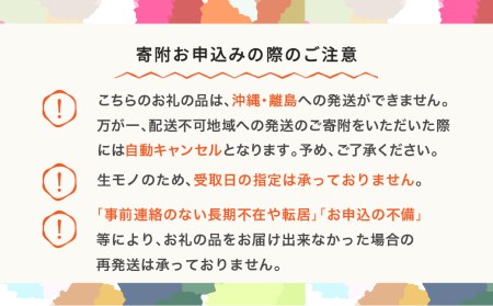 先行予約 さくらんぼ 紅秀峰 特秀2Lサイズ 300g 化粧箱鏡詰め 2024年産 令和6年産 山形県産 ns-bst2x300 ※沖縄・離島への配送不可