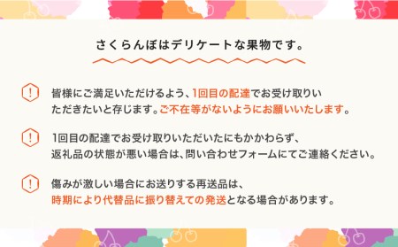 先行予約 加温ハウス さくらんぼ 佐藤錦 2026年産 令和8年産 ダイヤパック100g×3P 特秀L玉以上 早出し ja-snpcx300 ※沖縄・離島への配送不可