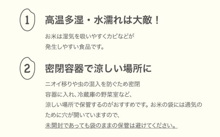 新米 米 10kg 5kg×2 はえぬき 精米 令和6年産 fn-haxxb10