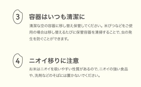 新米 米 10kg 5kg×2 はえぬき 精米 令和6年産 fn-haxxb10