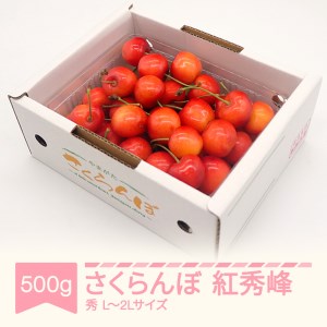 さくらんぼ 紅秀峰 秀品 L-2L玉 500g バラ詰 2024年産 令和6年産 山形県産 mm-bsbax500 ※沖縄・離島への配送不可