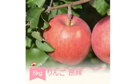 りんご 昂林 約5kg 秀 令和6年産 2024年産 令和6年産 リンゴ 果物 山形県 村山市 フルーツ ja-rikrx5 ※沖縄・離島への配送不可