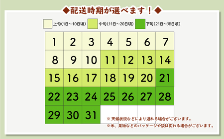 ふるさと納税】米 10kg 5kg×2 はえぬき 精米 令和5年産 2023年産 山形