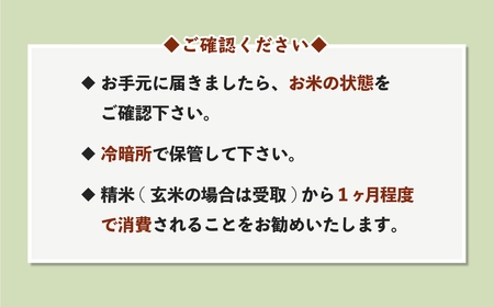 ふるさと納税】米 10kg 5kg×2 はえぬき 精米 令和5年産 2023年産 山形