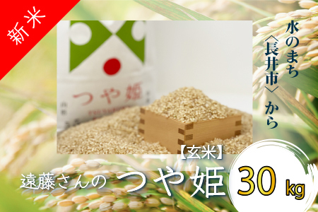 【令和5年産新米】【特別栽培米】【玄米】遠藤さんの「つや姫」30kg×1袋_A074(R5)