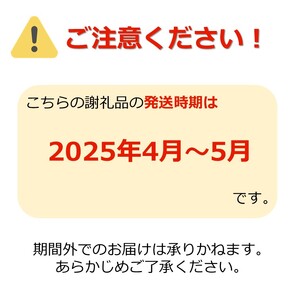 【2025年4月～5月発送分先行受付】春どりアスパラ(2L～3Lサイズ・約1kg）_H172(R7)