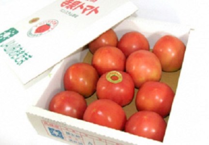 E054 【ブランドトマト】寺泉トマト 約4kg
