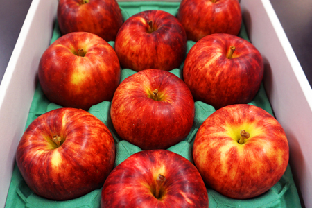 【2025年発送】「秀品」山形のりんご(つがる)約3kg_H163(R7)