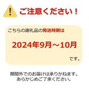 【2024年9月～10月発送分先行受付】「秀品」山形のりんご（早生ふじ）約3kg_H165(R6)