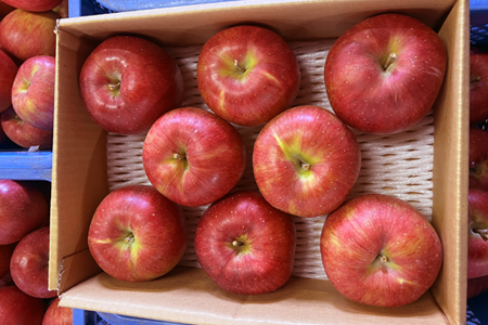 【2025年発送】「秀品」山形のりんご（シナノスイート）約3kg_H166(R7)