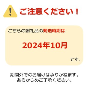 【2024年10月発送分先行受付】「秀品」山形のりんご（秋陽）約3kg_H167(R6)