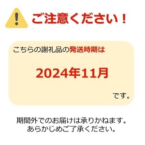 【2024年11月発送分先行受付】「秀品」山形のりんご（シナノゴールド）約3kg_H169(R6)