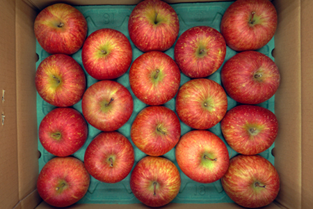 【2025年発送】「優品」山形のりんご(サンふじ)約10kg_H171(R7)