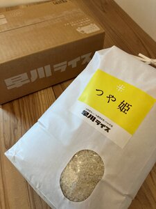 【令和7年産新米】早川ライスの山形県産「つや姫」精米10kg(5kg×2袋)_A163(R7)
