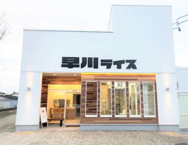 【令和7年産新米】早川ライスの山形県産「つや姫」精米10kg(5kg×2袋)_A163(R7)