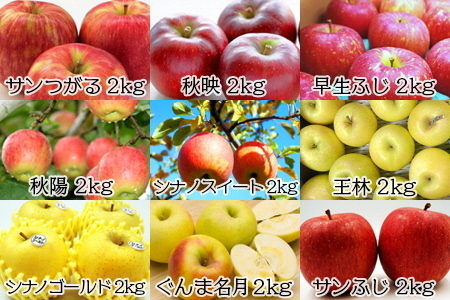 【2026年発送】【定期便9回】「秀品」りんご2kg×9種_H219(R8)