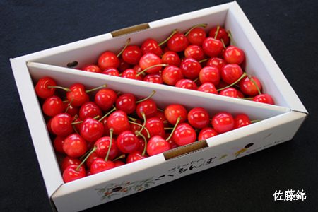 【2026年発送】【定期便2回】さくらんぼ約1kg×2種_H177(R8)