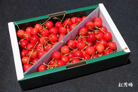 【2026年発送】【定期便2回】さくらんぼ約1kg×2種_H177(R8)