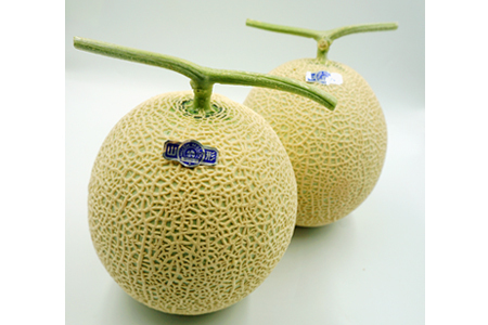 【2026年発送】【定期便2回】山形旬の果物2選（佐藤錦/メロン）_H179(R8)