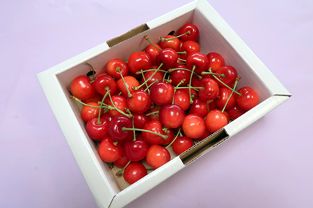 【2026年発送】【定期便2回】山形旬の果物2選（佐藤錦/シャインマスカット）_H180(R8)