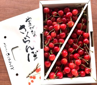 秀品 さくらんぼ佐藤錦1kg L玉 化粧箱 バラ詰 H035 R4 山形県長井市 ふるさと納税サイト ふるなび