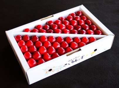 【2026年発送】「秀品」さくらんぼ紅秀峰1kg（2L玉以上・化粧箱・手詰）_H046(R8)