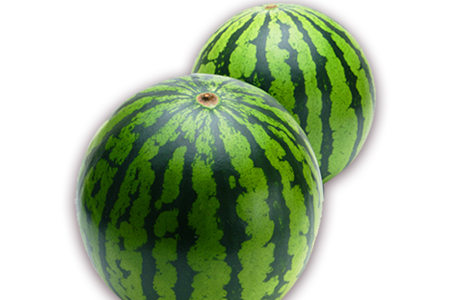 【2026年発送】長井市伊佐沢の大玉すいか約8～11kg×2玉_H054(R8)