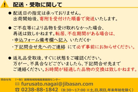 【2024年10月～11月発送】山形のりんご（高徳）約2kg_H078(R6)