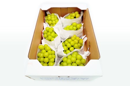 【2025年9月～10月発送分先行受付】「秀品」山形のぶどう（シャインマスカット）4.5kg以上(5～9房)_H135(R7)