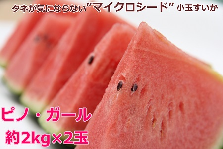 伊佐沢生産者会の小玉すいか「ピノガール」2kg以上×2玉_H142(R4)