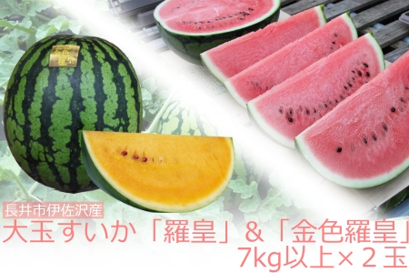 伊佐沢生産者会の大玉すいか「羅皇&金色羅皇」7kg以上×2玉_H144(R4)