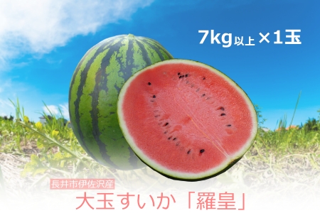 伊佐沢生産者会の大玉すいか「羅皇」7kg以上×1玉_H145(R4)