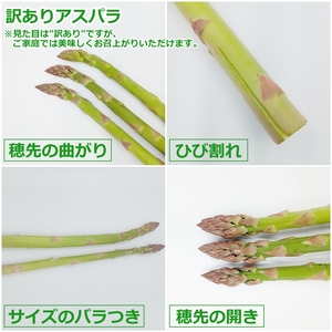 【2026年発送】ご家庭用訳あり春どりアスパラ(S～2Lサイズ・2kg）_H155(R8)
