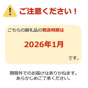 【2026年1月発送】訳ありだけど糖度13度以上！ご家庭用サンふじりんご5kg_H154(R7)